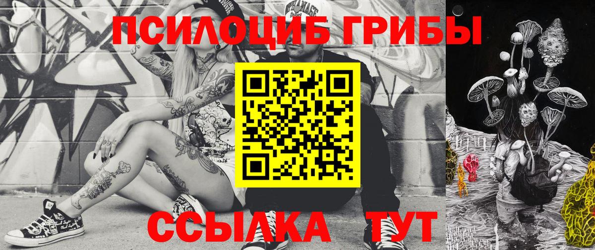 Псилоцибиновые грибы Psilocybine cubensis Гатчина