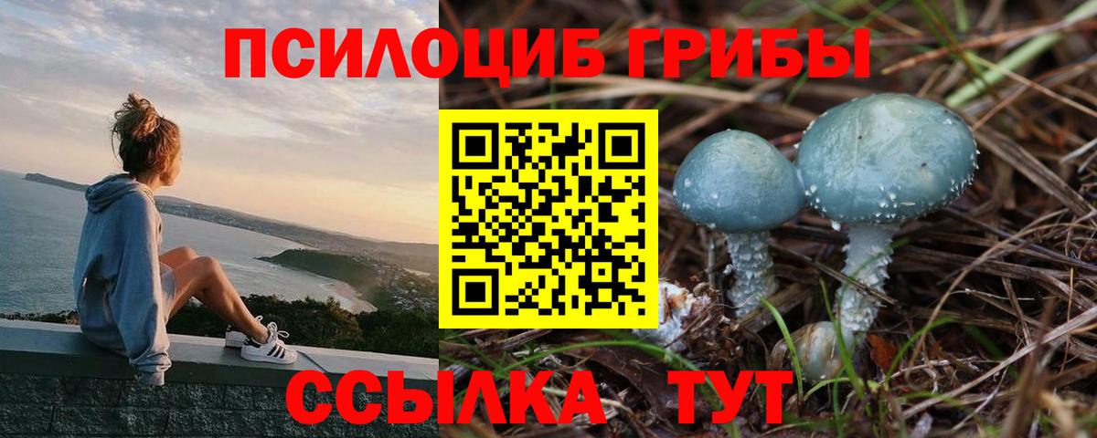 Гатчина  Галлюциногенные грибы Magic Shrooms  Вход с VPN 